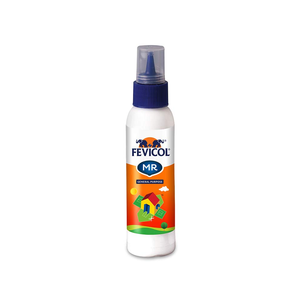 fevicol 100g